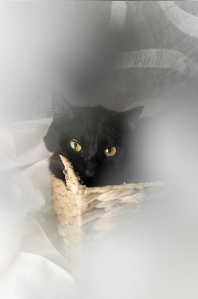 Photograph by Emilia Villalba