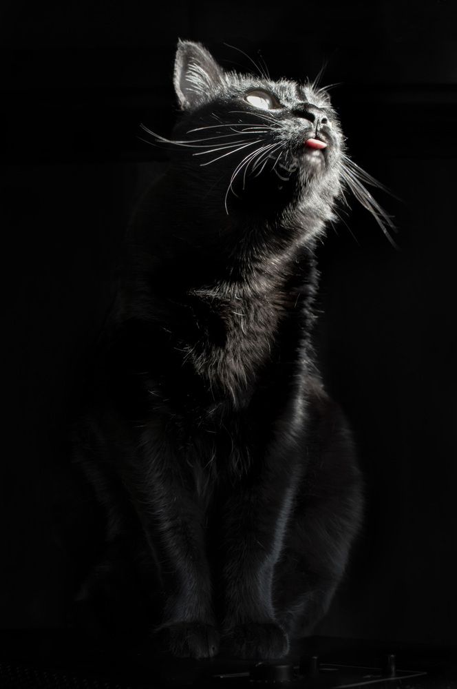 Photograph by Emilia Villalba