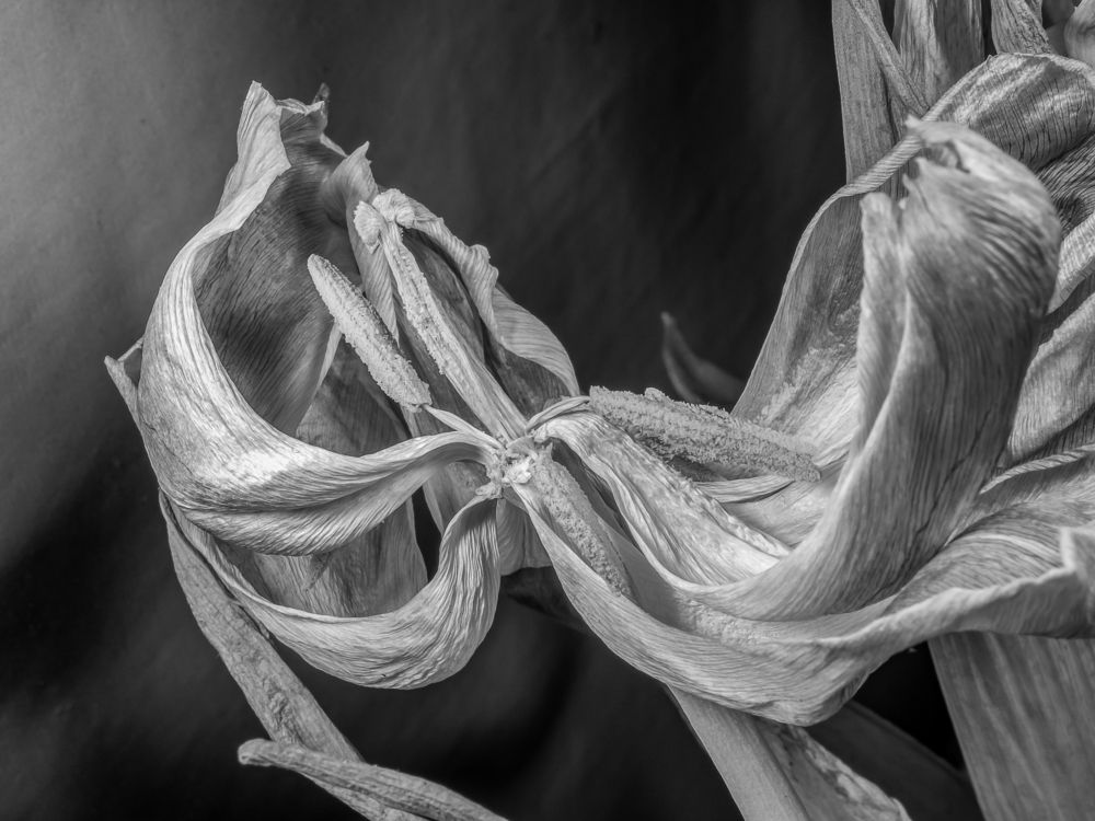 Photograph by Denis Polushin