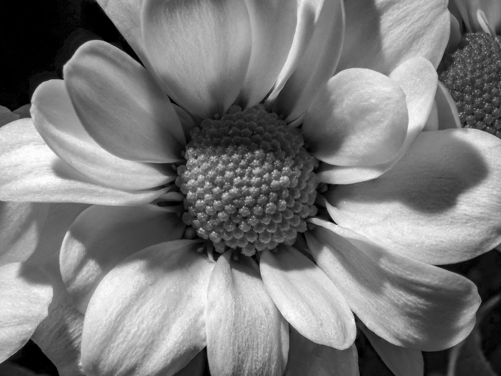 Photograph by Denis Polushin