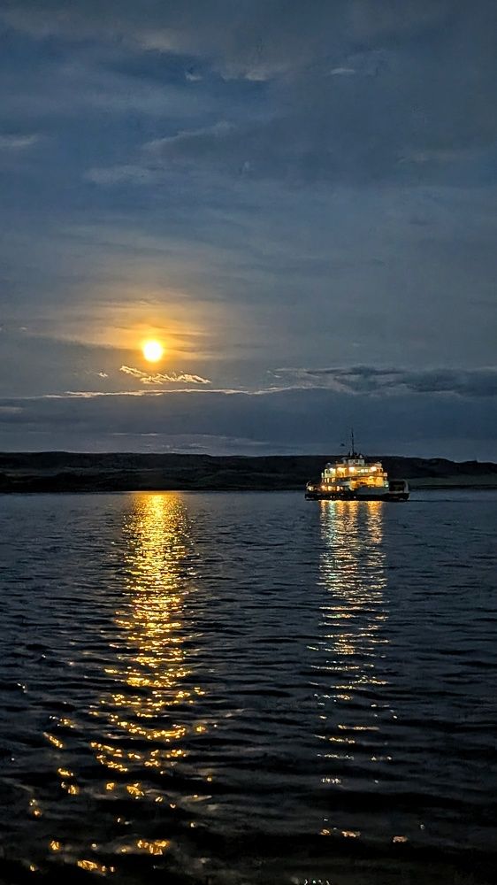 Фотография автора Марина Куркина