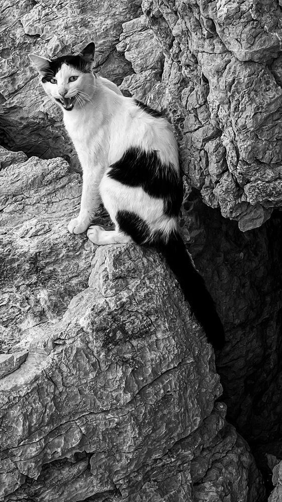 Photograph by Анна Чеснокова