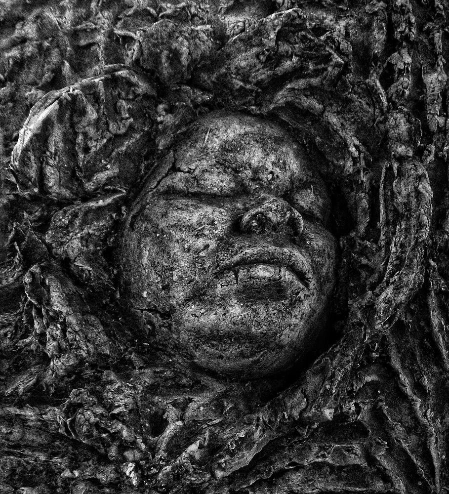 Photograph by Andrea Mariño