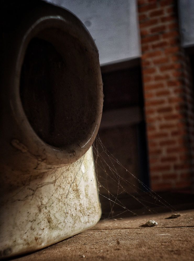 Photograph by Andrea Mariño