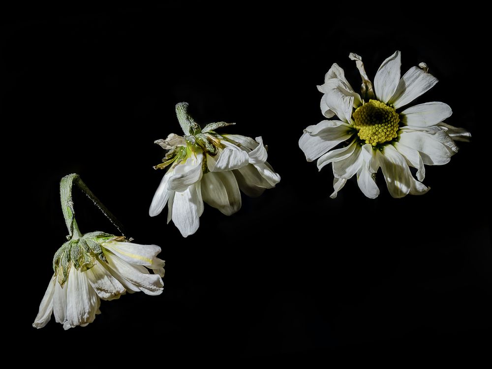 Photograph by Denis Polushin