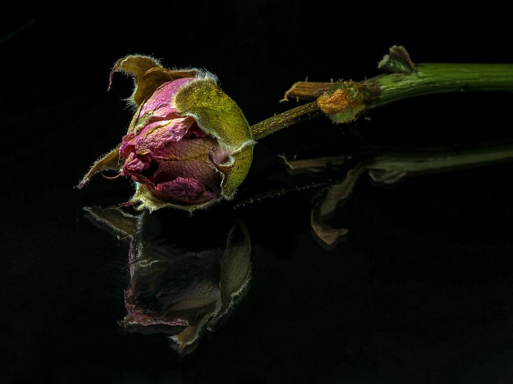 Photograph by Denis Polushin