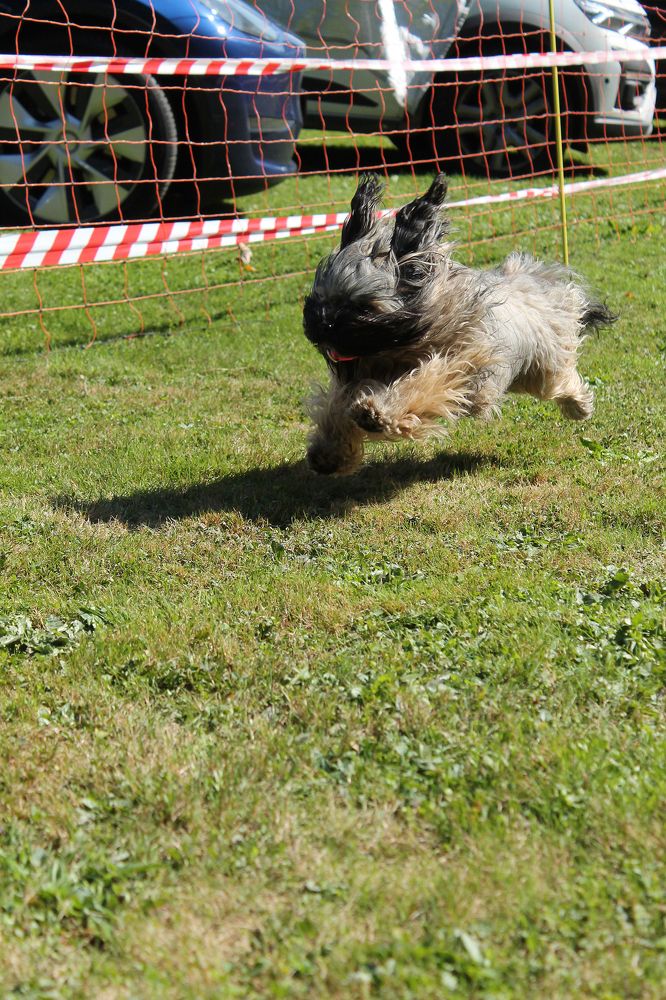 Photograph by Диана Ульянцева