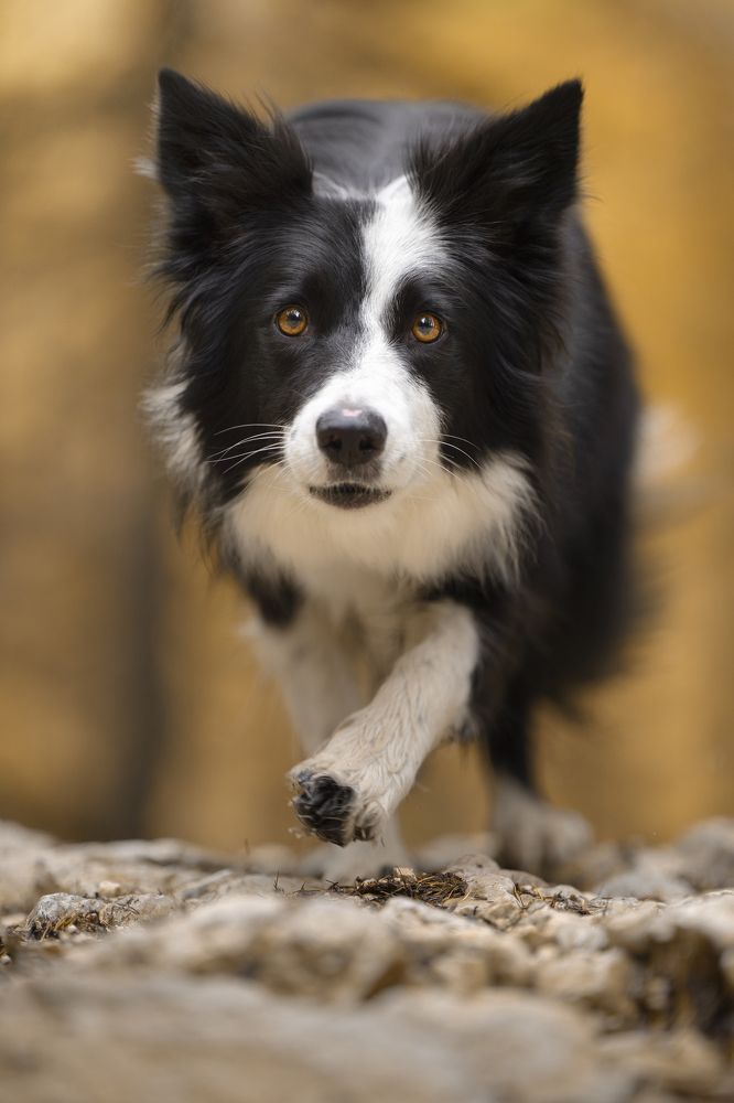 Photograph by ALESSIA ROSSI