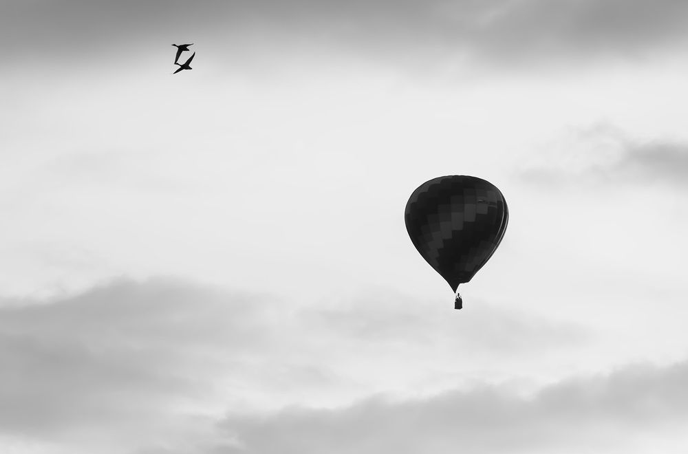 Летящие в небесах