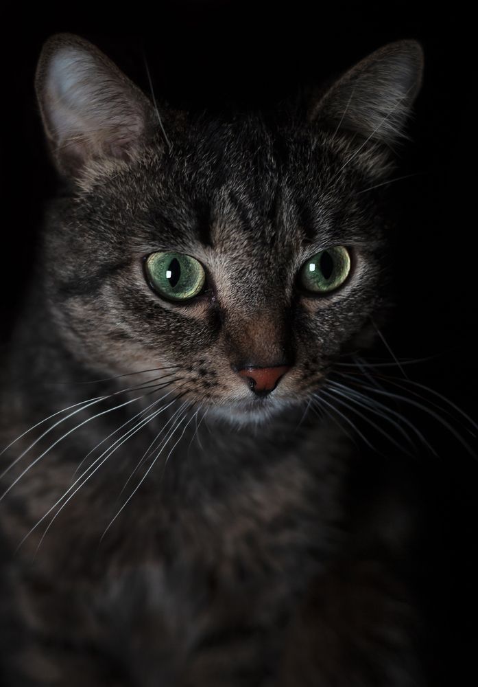 Photograph by Татьяна Шахматова