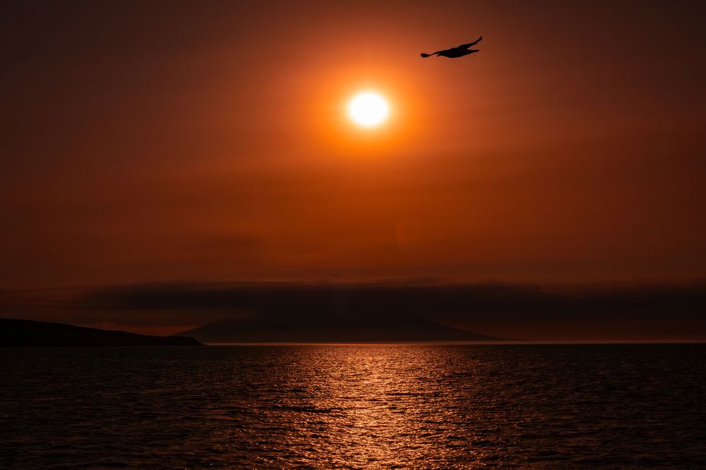 Photograph by Alexey Nikitin