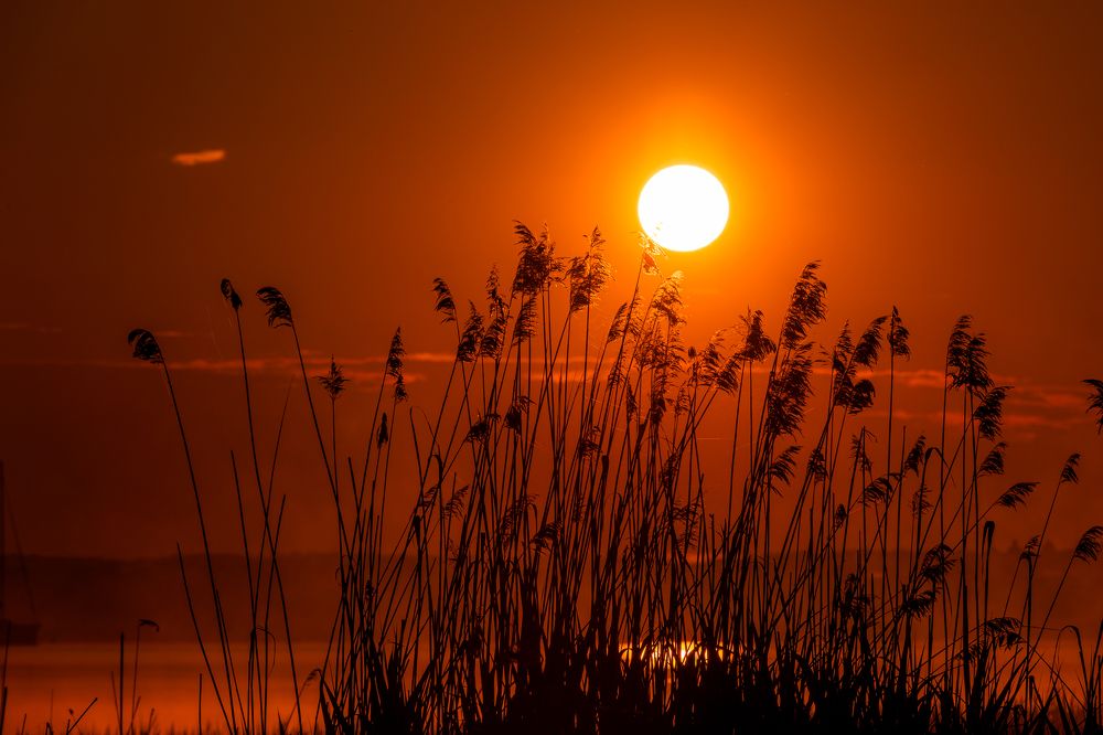 Photograph by Алексей Никитин