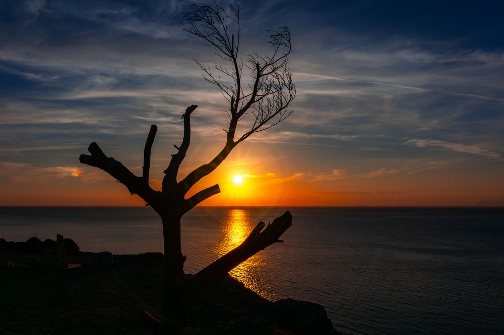 Photograph by Alexey Nikitin