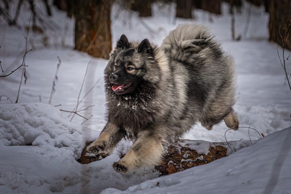 Photograph by Максимов Алексей