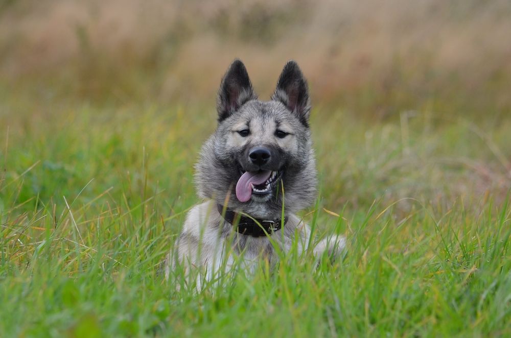 Photograph by Галина Катанова