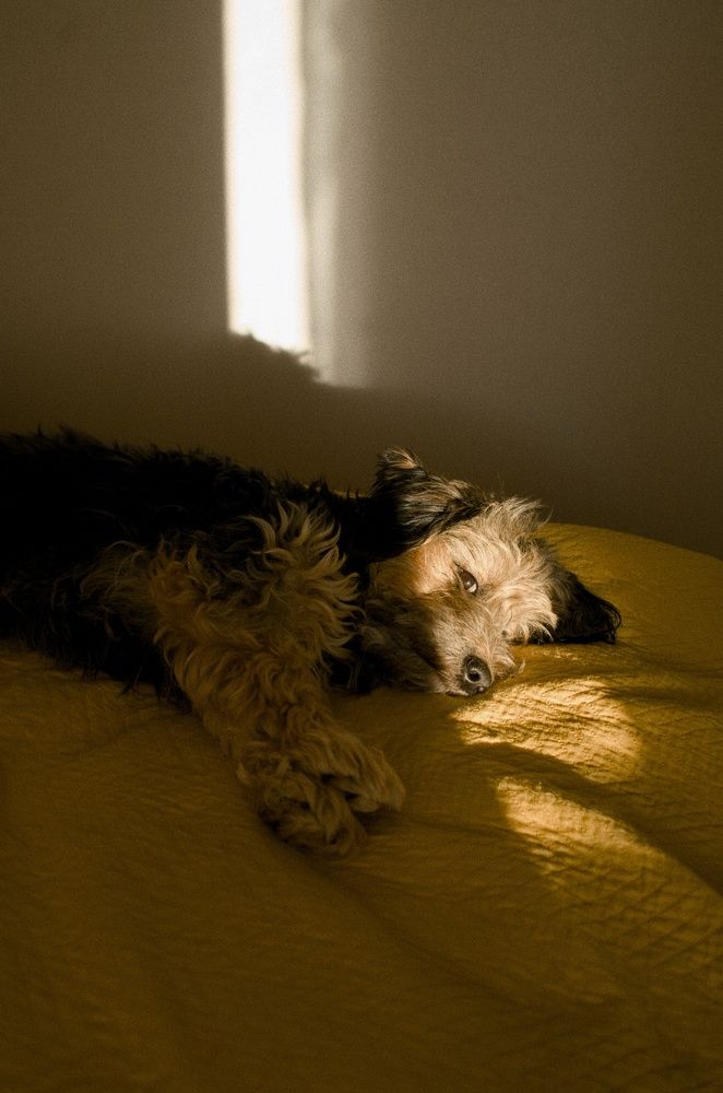 Тепло домашнего уюта