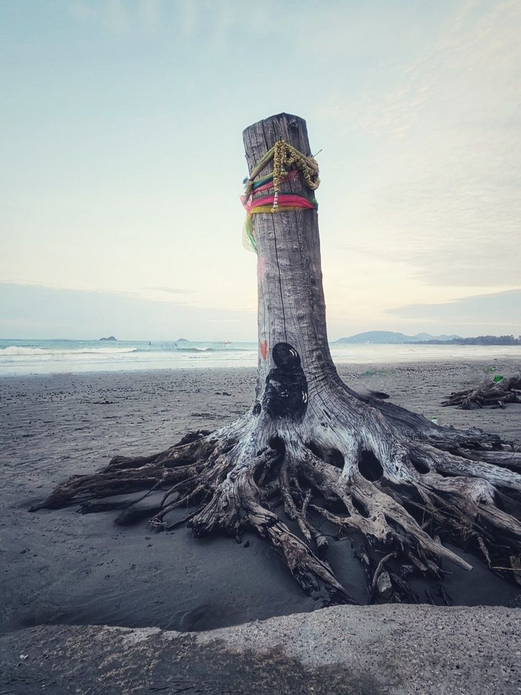 Photograph by Анна Далингер