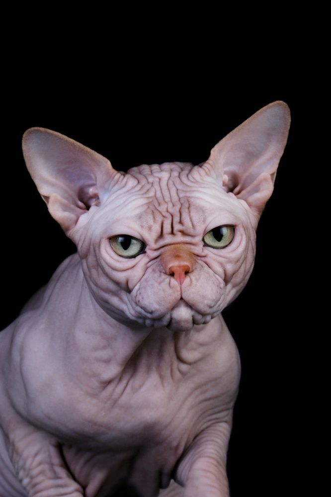 Photograph by Стрижаченко Инга