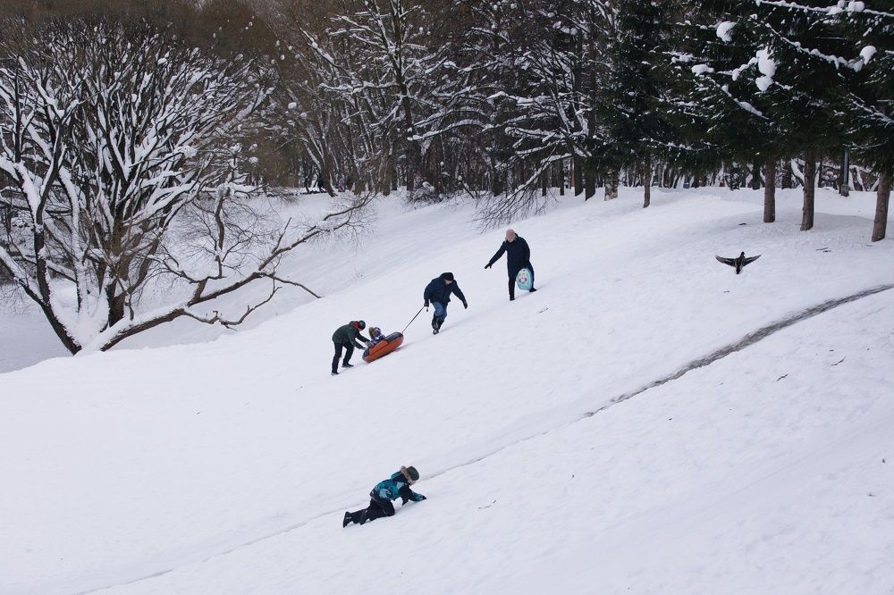 Фотография автора Тема Цезарь