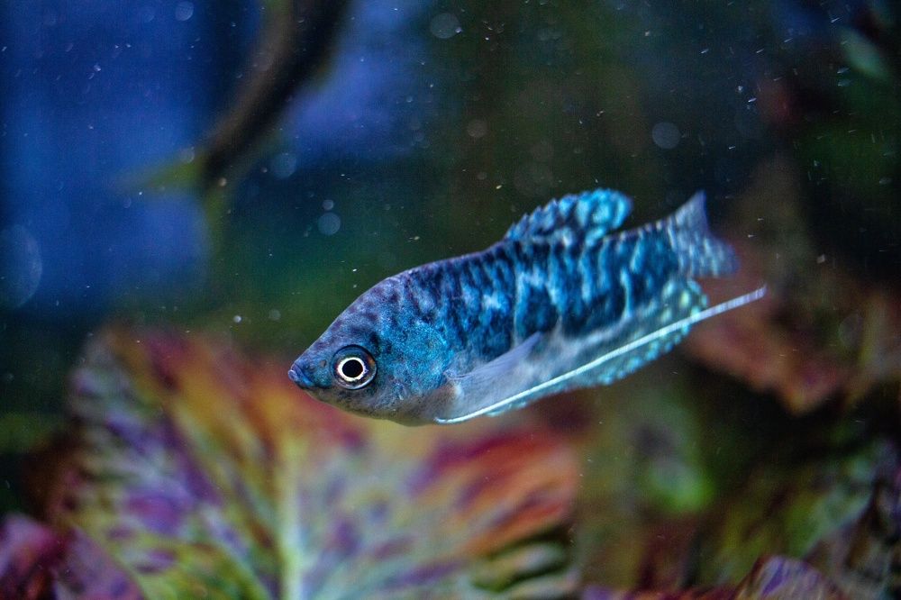 Photograph by ЕЛЕНА Рохо-Фернандес