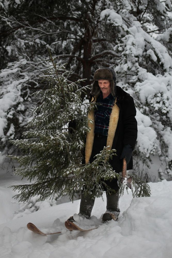 Photograph by надежда максимова