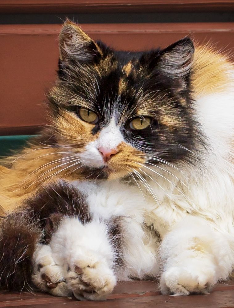 Photograph by александр лялин