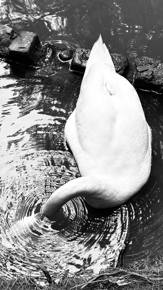 Photograph by Elena Lagutina