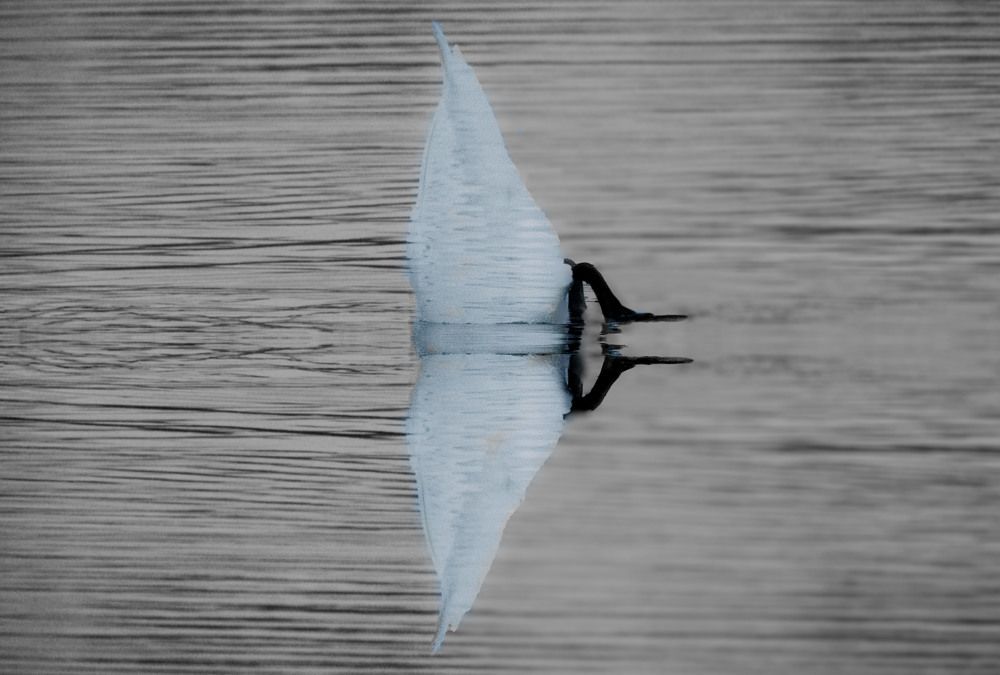 Photograph by Ольга Левакова