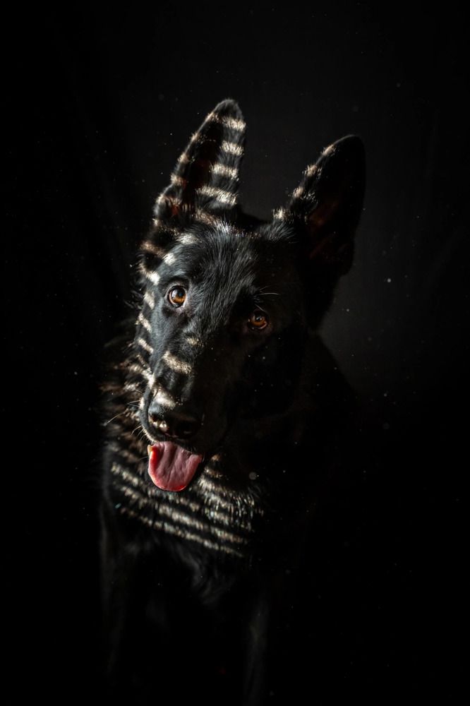 Photograph by Анна Иванова