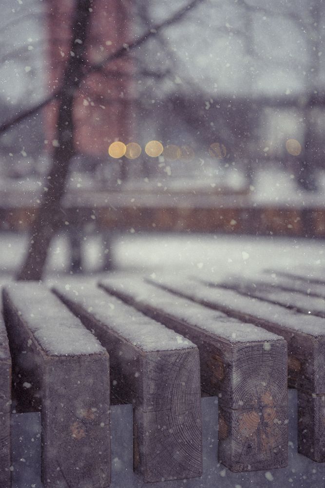 Photograph by Helena Proshkina