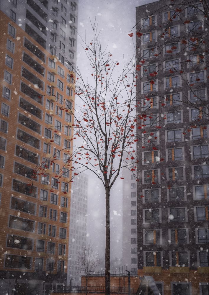 Photograph by Helena Proshkina