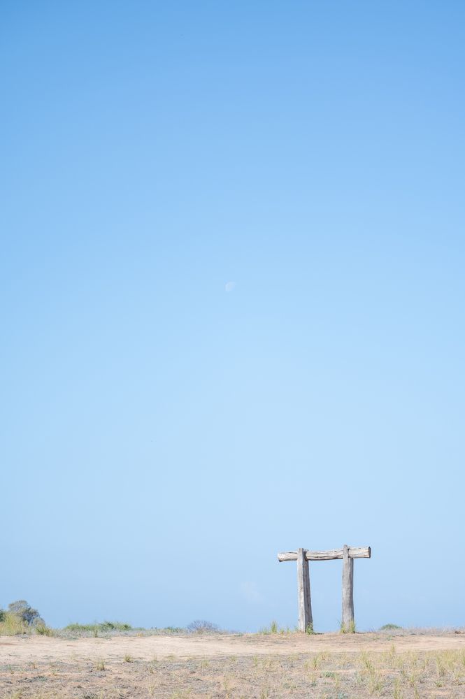 Photograph by esti lahat