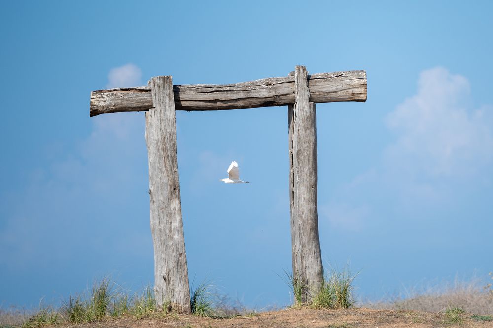 Photograph by esti lahat