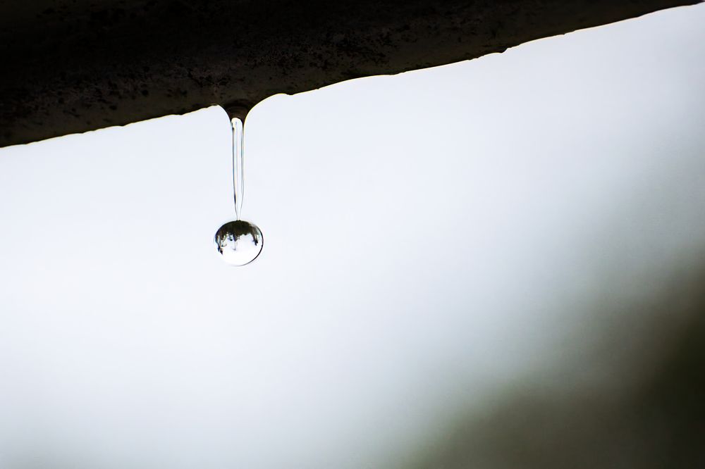 Photograph by Vimal Ram S