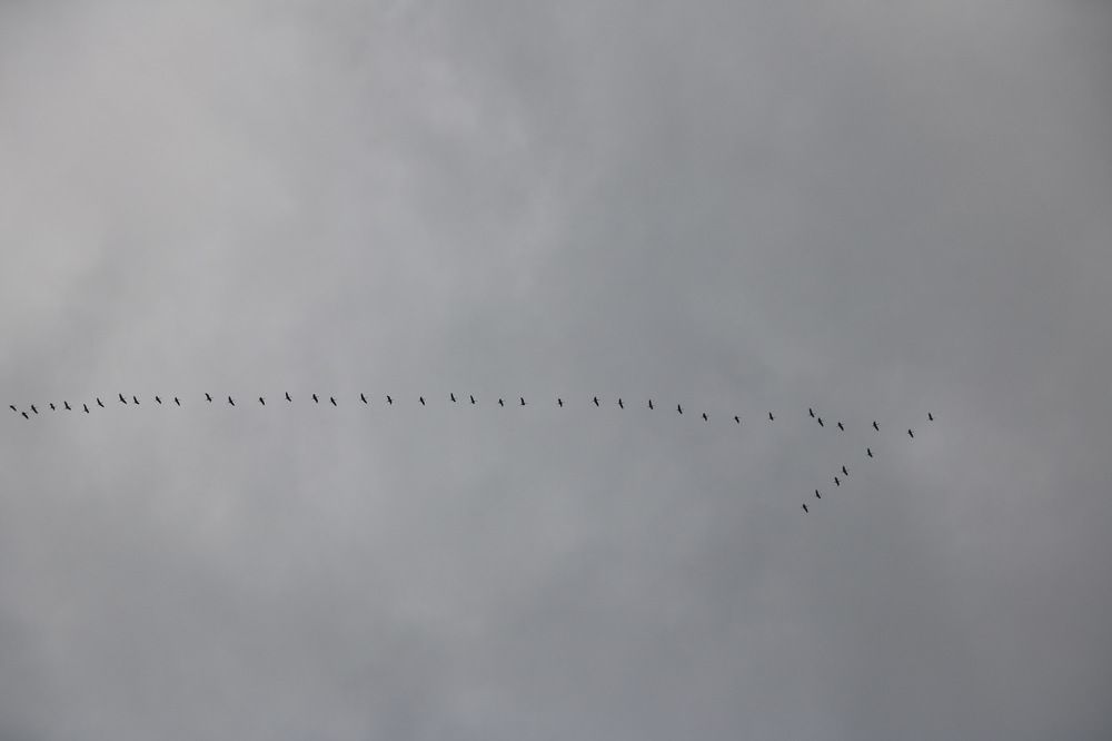 Photograph by Cengiz Yalcin