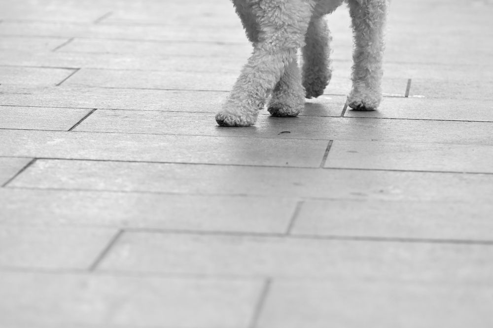 Photograph by esti lahat