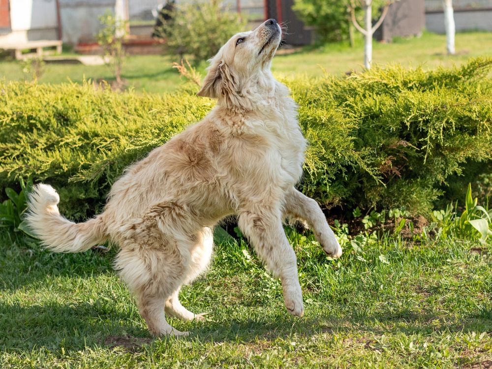 Photograph by Анастасия Лученок