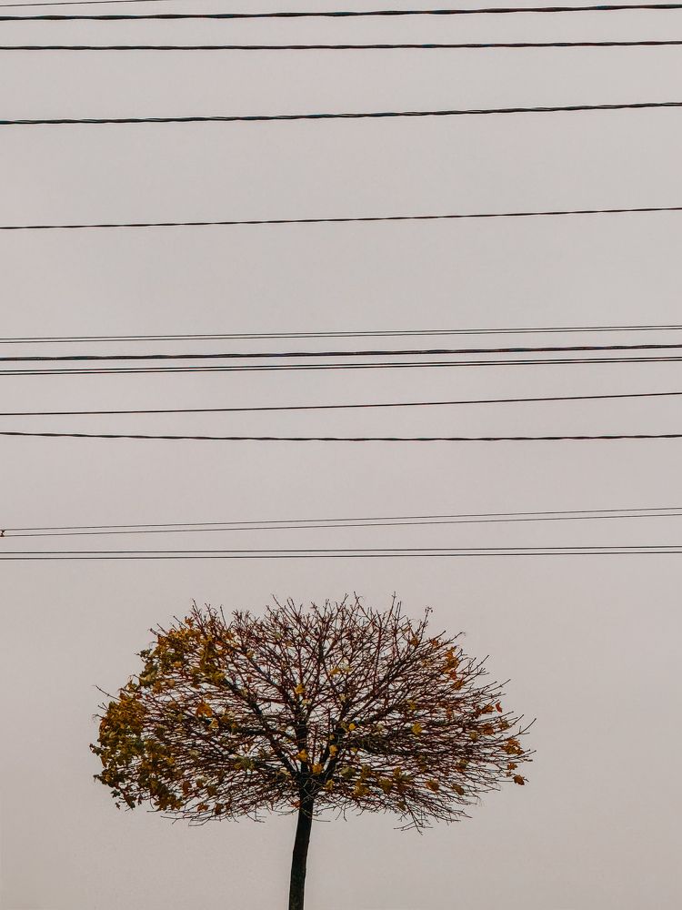 Photograph by Мария Бочкова