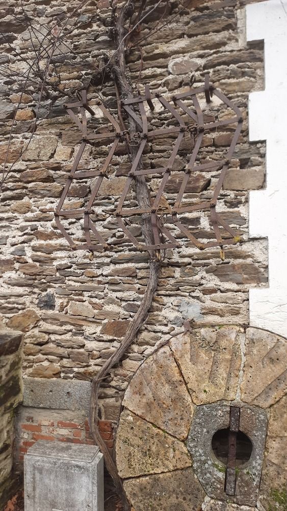 Photograph by sameera madushantha