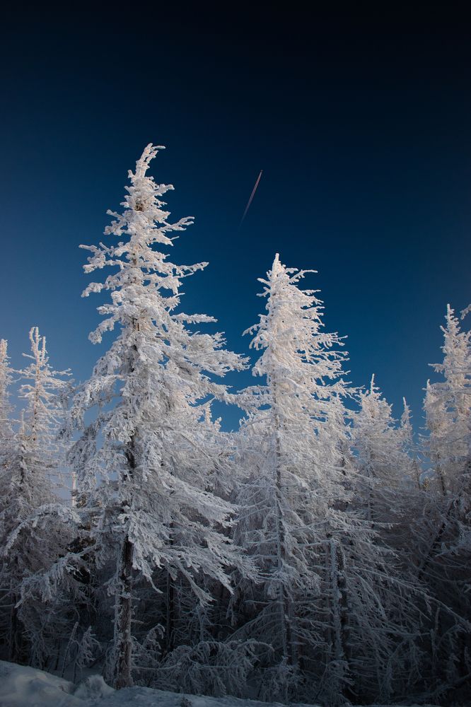 Photograph by Михаил Жарков