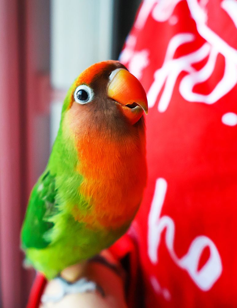 Photograph by Юлия Галкина