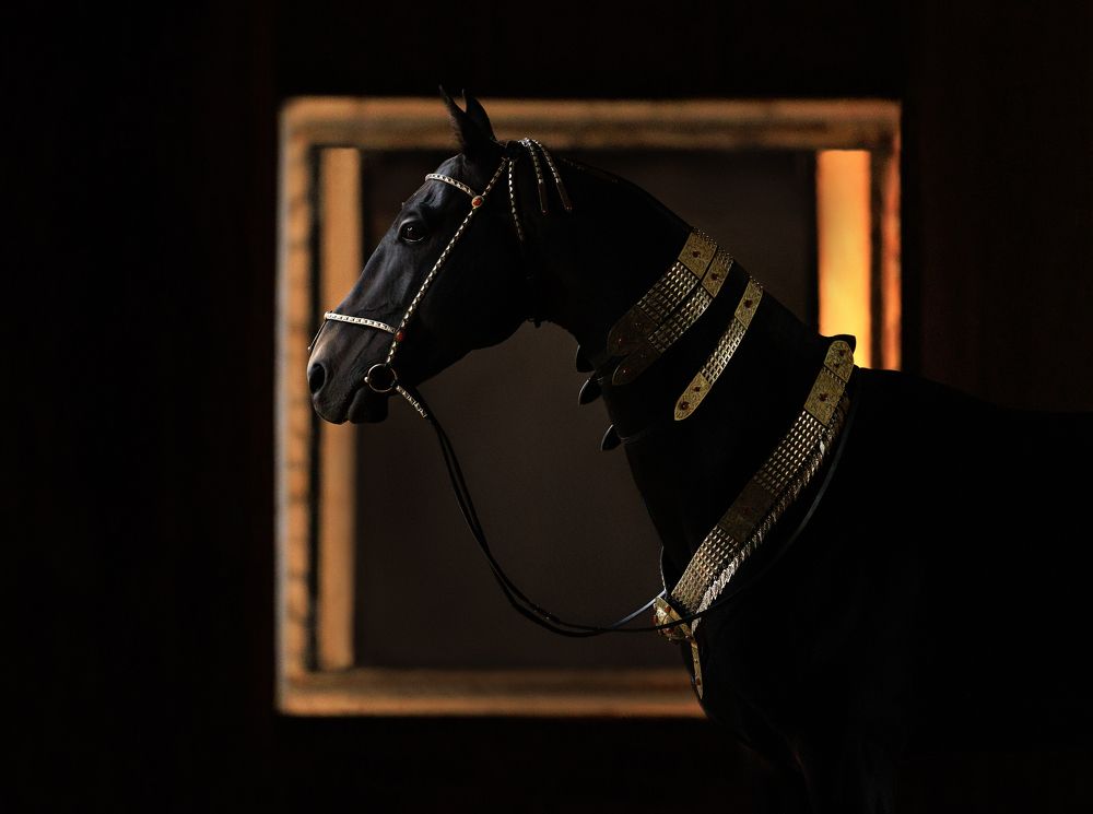 Photograph by Татьяна Немова