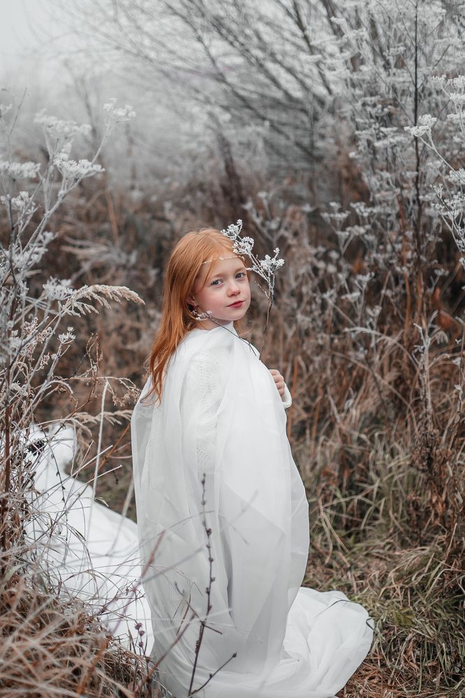 Принцесса инея