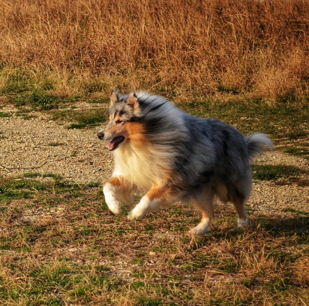 Photograph by Василиса Прекрасная