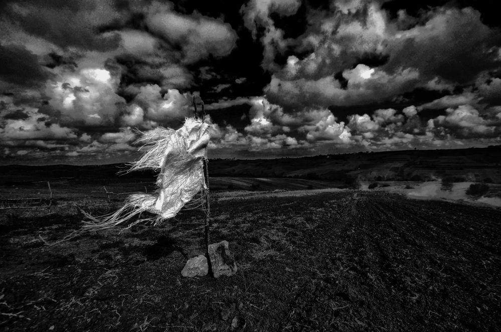 Photograph by Muzaffer Sütlüoğlu