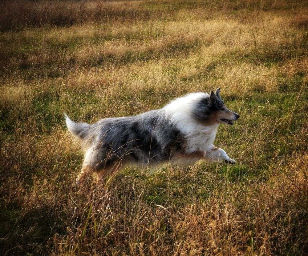 Photograph by Василиса Прекрасная