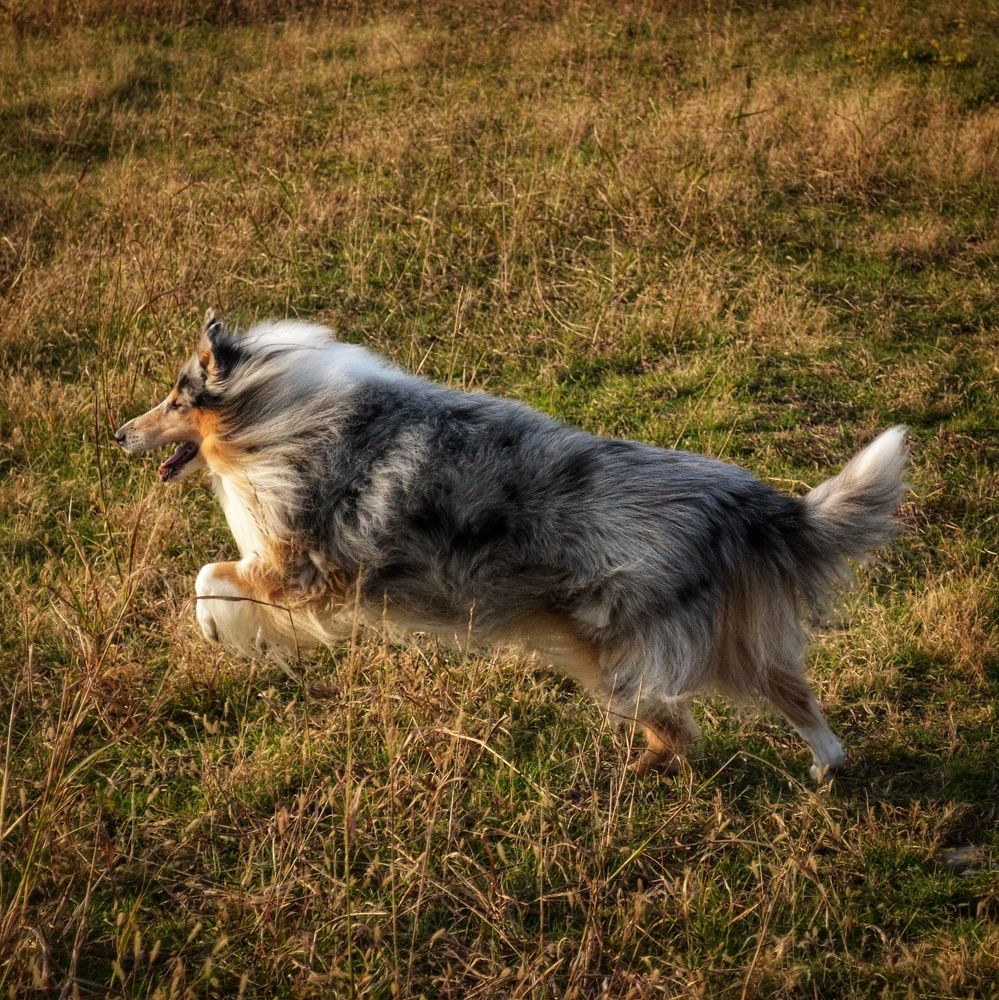 Photograph by Василиса Прекрасная