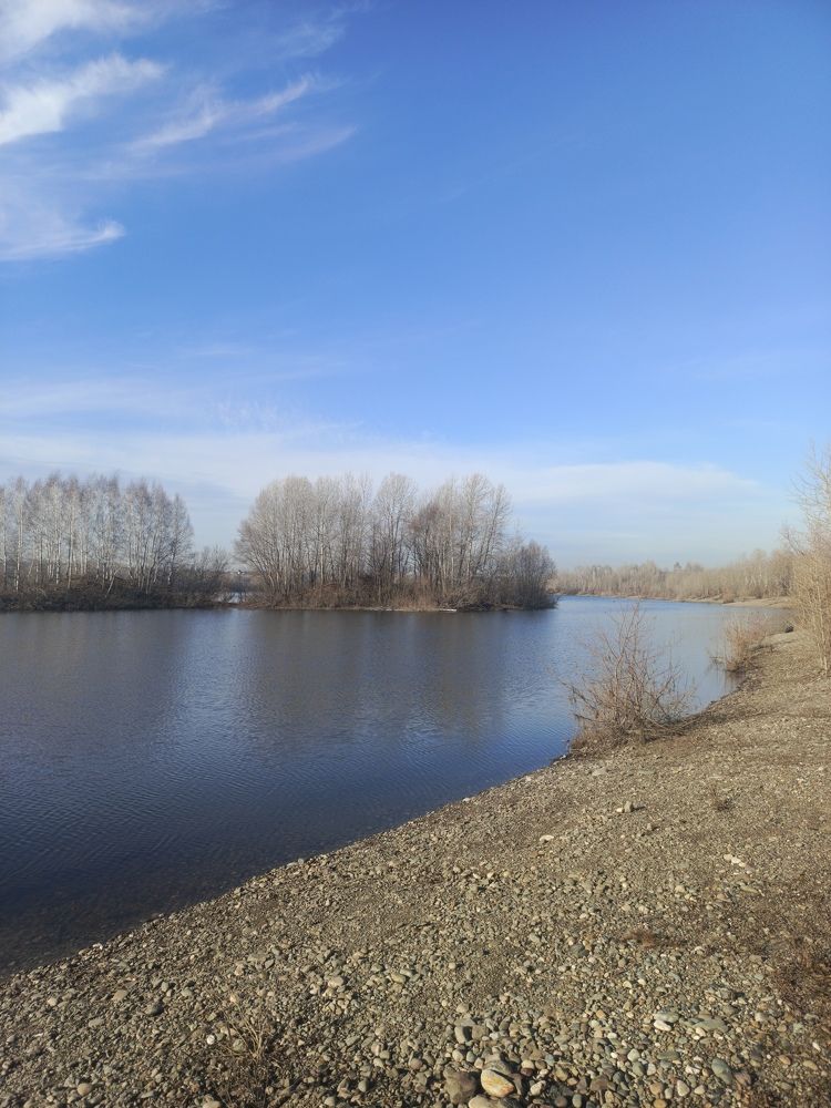 Фотография автора Ольга Петрова