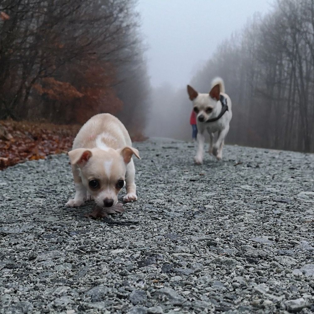 Photograph by Михаил Жарский