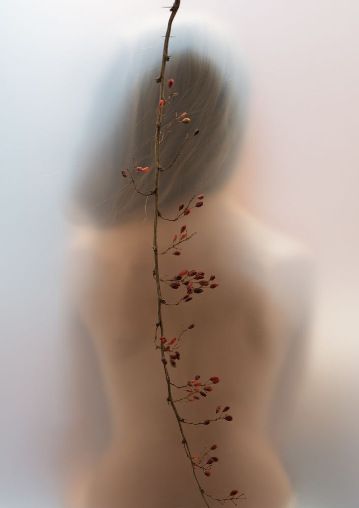 Фотография автора Дмитрий Чухлебов